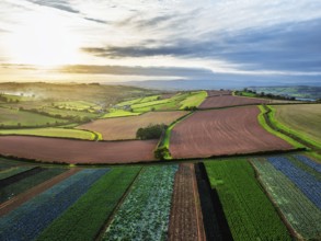 Colours of autumn Fields and Farms over Sheldon from a drone, Torbay, Devon, England, United