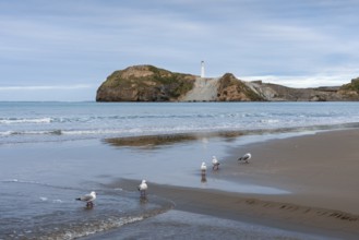 Castlepoint Beach with lighthouse on the rock, seagulls on the beach. Castlepoint, Wairarapa Coast,