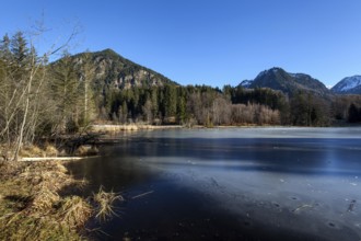 Moor, moor pond, icy, winter, behind Allgäu Alps, Oberstdorf, Oberallgäu, Allgäu, Bavaria, Germany