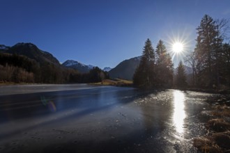 Moor, moor pond, icy, winter, backlight, back Allgäu Alps, Oberstdorf, Oberallgäu, Allgäu, Bavaria,
