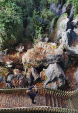 Sea of rocks in autumn, Hemer, Sauerland, North Rhine-Westphalia, Germany