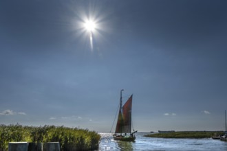 Zeesboot, former historic fishing boat, leaves the port of Ahrenshoop, Sonnenstern, Darß,