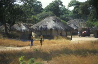 Thatched huts in a village in Zambia, Africa, June 2000, vintage, retro, old, historic