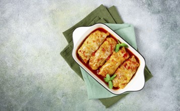Stuffed cabbage rolls with minced meat, in tomato sauce, top view, without people, in the spotlight