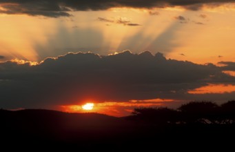 Sunset over Serengeti, Tanzania, Africa, June 2000, vintage, retro, old, historic