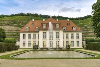 The Saxon State Winery Schloss Wackerbarth or Wackerbarth's Ruh' with Baroque Castle in
