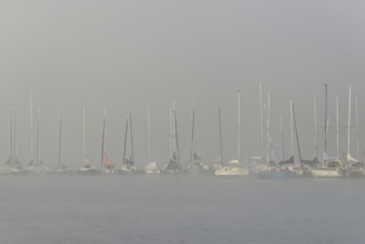 Hennesee, sailboats at boat dock in thick fog, Hennetalsperre, Sauerland-Rothaargebirge nature park