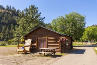 Log cabin basking in the sunlight amidst lush greenery and towering trees, offering a serene escape