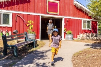 Happy child running from a red barn in the countryside near kamloops, british columbia, canada,