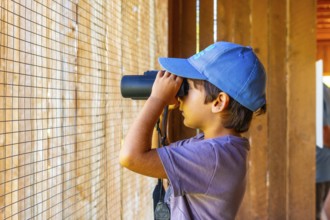 Young boy wearing a blue cap using binoculars observing birds in a bird hide, enjoying wildlife