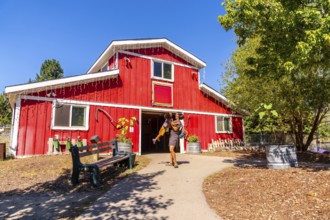 Mother carrying her young daughter as they are leaving a vibrant red barn at the british columbia