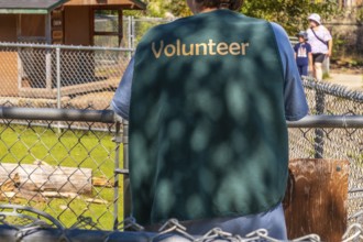 Zoo volunteer wearing a green vest, standing by the fence and watching visitors stroll by on a