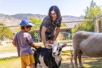 Happy mother and son brushing a goat at a petting zoo, enjoying a sunny day outdoors in kamloops,