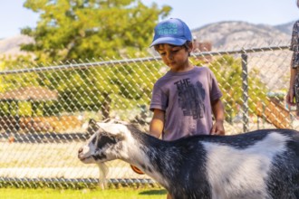 On a sunny day, a young boy in a blue cap and purple t shirt gently petting a black and white goat