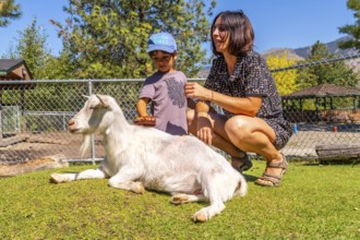 Mother and her son are brushing a goat at a petting zoo located in kamloops, british columbia,