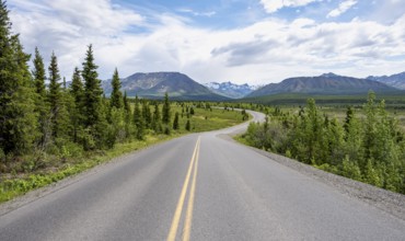 Road through Denali National Park, Taiga and Tundra with mountain scenery, Denali National Park,