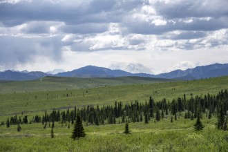 Tundra and mountain landscape with Mount Denali or Mount McKinley in dramatic cloudy skies, Denali