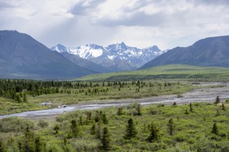 Savage River, tundra and mountainous landscape, Denali National Park, Alaska, USA