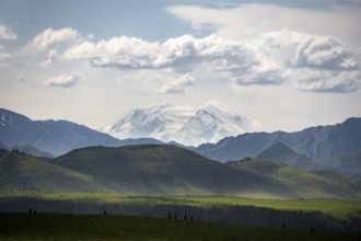 Tundra and glaciated peak of Denali or Mount McKinley, mountainous landscape, Denali National Park,