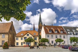 The Town Hall Market in Schleswig's Old Town and St. Peter Cathedral, City of Schleswig,
