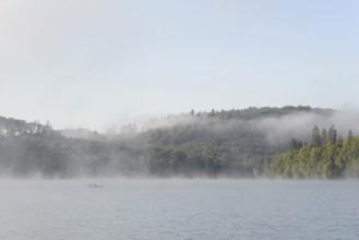 Hennesee, morning fog, Hennetalsperre, Sauerland-Rothaargebirge nature park Park, North