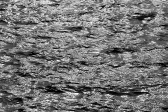 Water surface with waves and light reflections, black and white, Möhnesee, Möhnetalsperre, North
