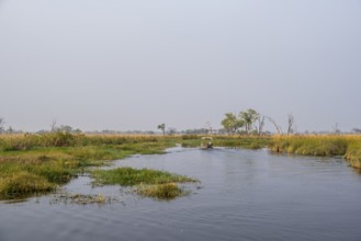 Safari by boat, tourists, Xakanaxa Lagoon, Okavango Delta, Moremi Game Reserve, Botswana