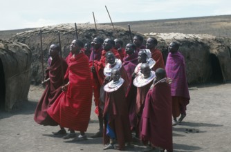 Maasai men and girls in their village in the Ngorongoro Crater dancing for tourists, Tanzania,