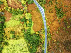 Top Down view of Autumn colours over River Wye and Road A470 from a drone, Llanidloes, Powys,