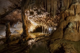 Stalactites and stalagmites, rock formations in a stalactite cave, Grotta del Fico, Gulf of Orosei,