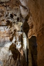 Stalactites and stalagmites, rock formations in a stalactite cave, Grotta del Fico, Gulf of Orosei,