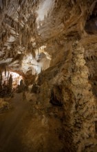 Stalactites and stalagmites, rock formations in a stalactite cave, Grotta del Fico, Gulf of Orosei,