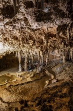 Stalactites and stalagmites, water basins and rock formations in a stalactite cave, Grotta del