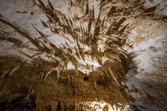Stalactites and rock formations in a stalactite cave, Grotta del Fico, Gulf of Orosei, Baunei,