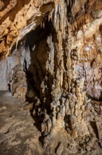 Stalactites and stalagmites, rock formations in a stalactite cave, Grotta del Fico, Gulf of Orosei,
