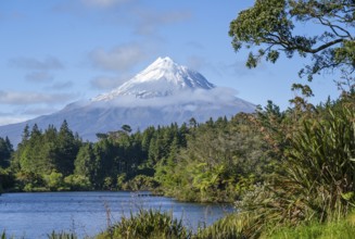 Lake Mangamahoe with views of Mount Taranaki. Egmont National Park, Taranaki Region, North Island,