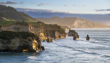 The Three Sisters and Elephant Rock formations, sea, evening, golden hour. Taranaki Region, North