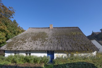 Private residential house with thatched roof, Ahrenshoop, Darß, Mecklenburg-Western Pomerania,