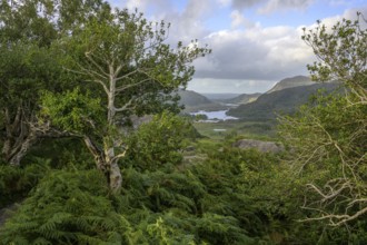 Ladies View, View of Upper Lake, Muckross, Kerry, Ireland