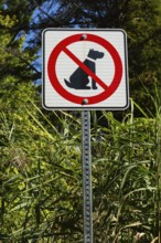 Posted white, red and black pictogram sign warning that dogs are not allowed or forbidden in public