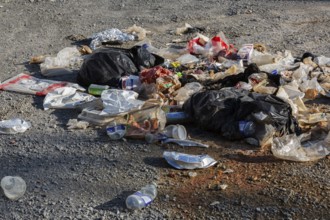 Recyclable plastic, paper and cardboard items discarded on the ground in public park, Quebec,