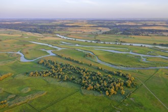 Aerial view over the Oder river in the German-Polish nature reserve Lower Oder Valley International