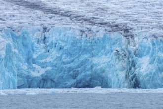 Lilliehöökbreen glacier in summer debouching into Lilliehöök Fjord, Lilliehöökfjorden, branch of