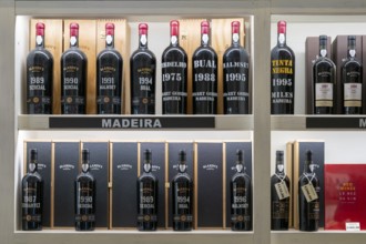 Madeira wine, wine bottles are on shelf, Madeira, Portugal