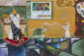 Colourfully painted doors on Santa Maria Street in the old town, Funchal, Madeira, Portugal