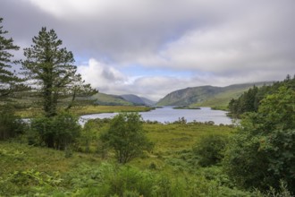 View over Loch Beagh, Glenveagh National Park, Cross Roads, County Donegal, Ireland
