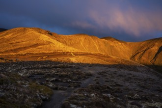Volcanic landscape, Tama Lake Walk (Tama Lakes Track), evening light, sunset. Tongariro National