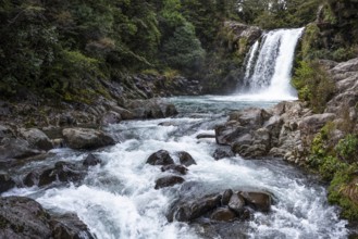 Waterfall Tawhai Falls (Gollum's Pool), location of the film trilogies The Lord of the Rings.