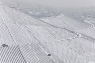 Snowy vineyards in the Stuttgart region in winter. Winter view of the vineyards in Fellbach,