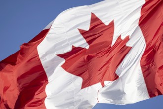 Red and white Canadian flag with a maple leaf waving in the air in downtown Toronto near Ontario